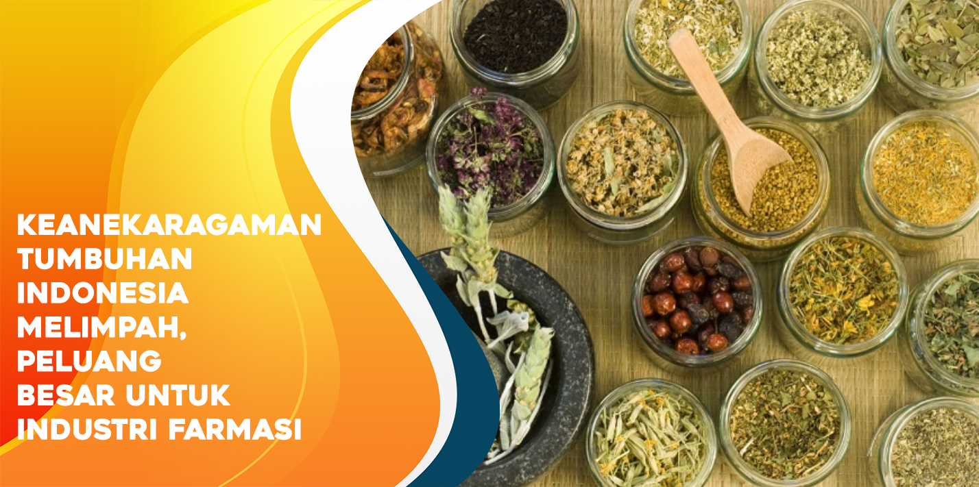 Keanekaragaman Tumbuhan Indonesia Melimpah, Peluang Besar Untuk Industri Farmasi